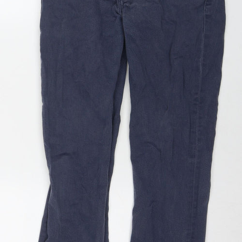 Levi's Mens Blue Cotton Straight Jeans Size 29 in L32 in Regular Zip