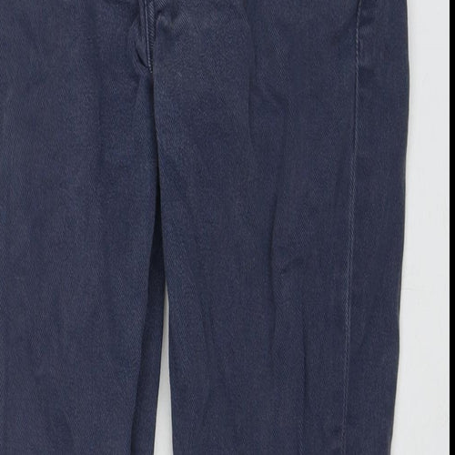 Levi's Mens Blue Cotton Straight Jeans Size 29 in L32 in Regular Zip
