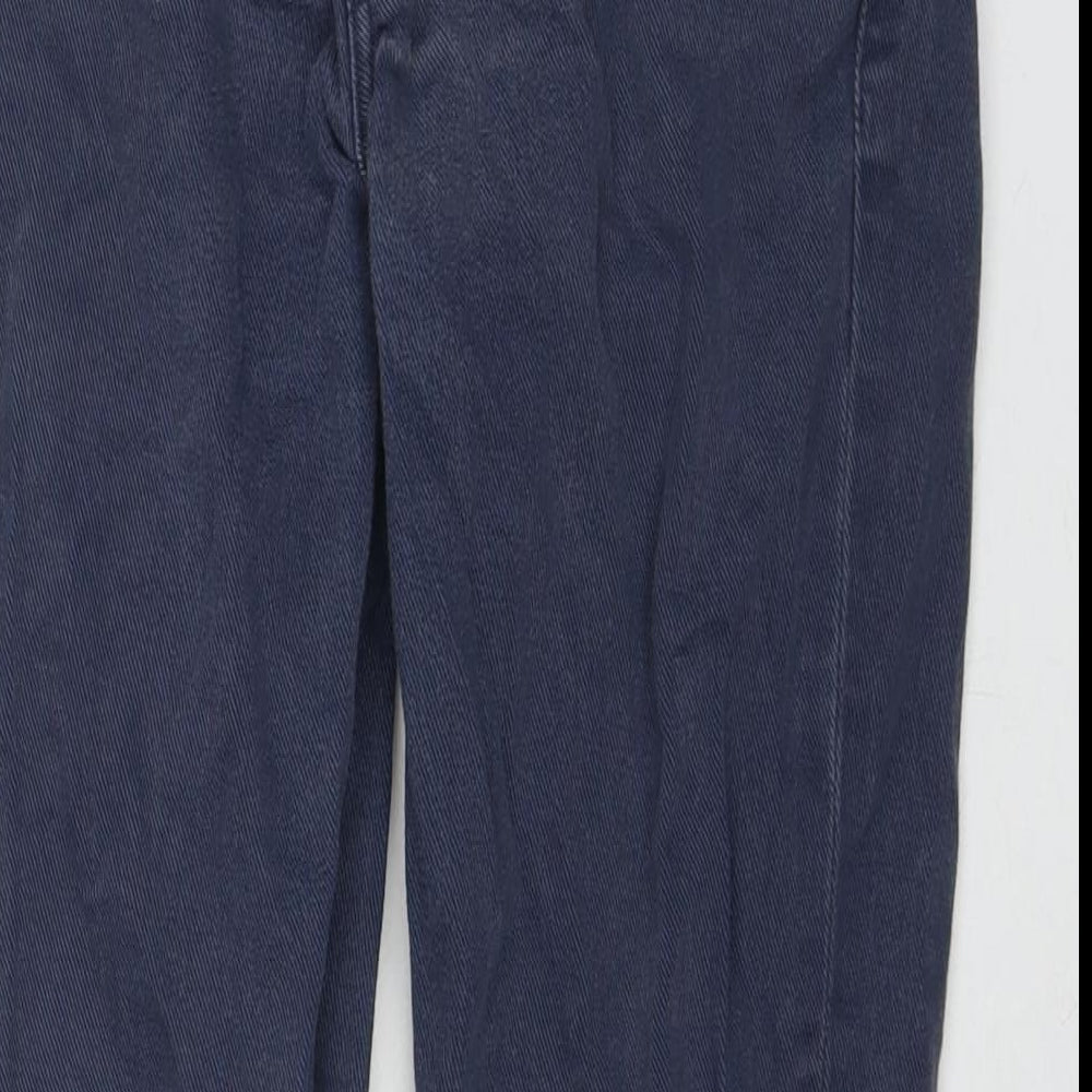 Levi's Mens Blue Cotton Straight Jeans Size 29 in L32 in Regular Zip