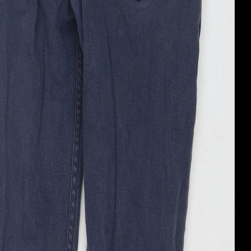 Levi's Mens Blue Cotton Straight Jeans Size 29 in L32 in Regular Zip