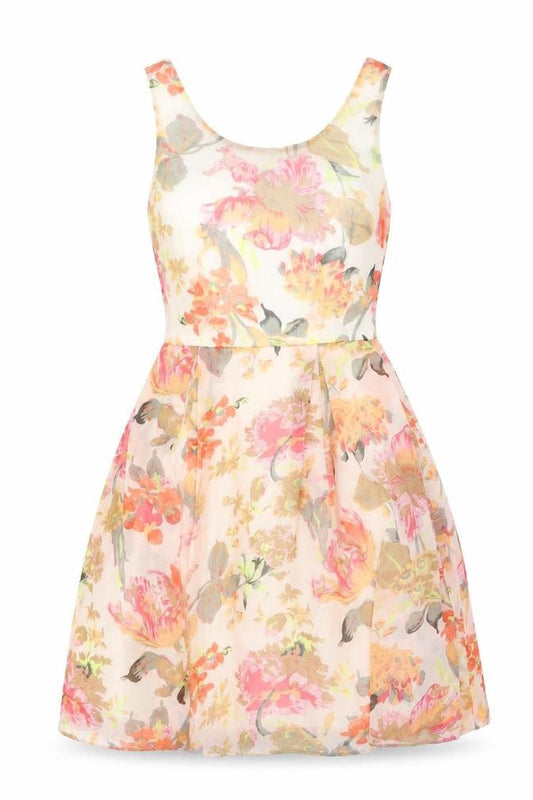 Front view of Apricot women’s pink floral polyester skater dress, size XS, round neck zip