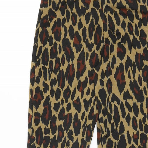 Daisy Street Womens Brown Animal Print Polyester Trousers Size 6 L31.5 in Regular