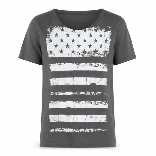 Front view of CHA SOR men’s grey cotton t-shirt, size M, round neck - american flag print