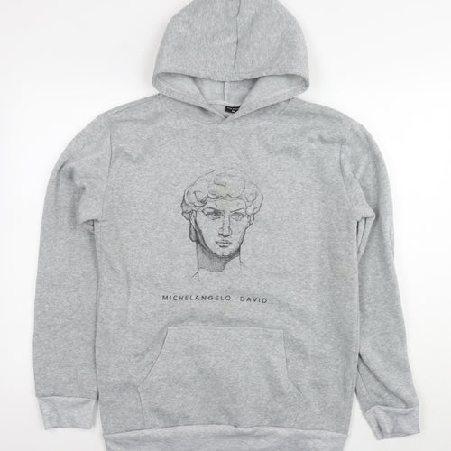 Michelangelo - David Mens Grey Polyester Pullover Hoodie Size S - Logo