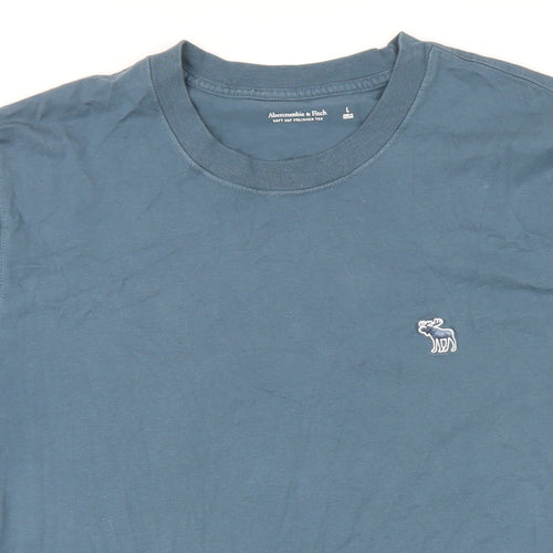 Abercrombie & Fitch Mens Blue Cotton T-Shirt Size L Round Neck