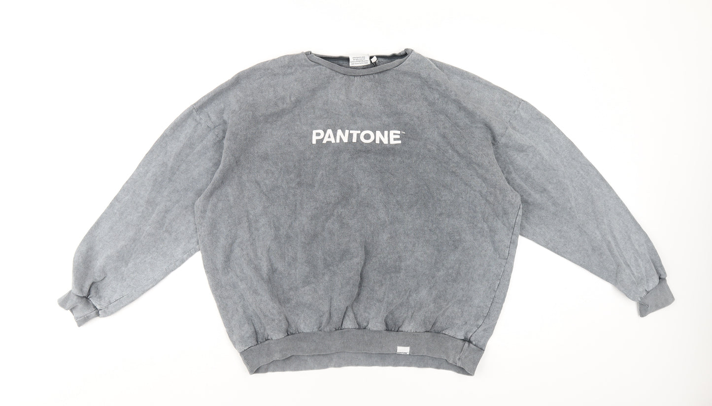 Pantone Womens Grey Cotton Pullover Sweatshirt Size 10 Pullover