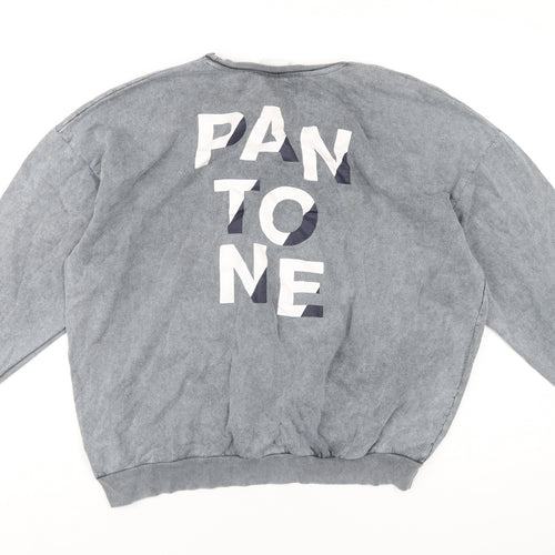 Pantone Womens Grey Cotton Pullover Sweatshirt Size 10 Pullover