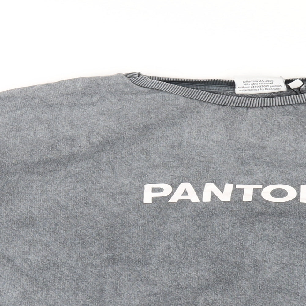 Pantone Womens Grey Cotton Pullover Sweatshirt Size 10 Pullover