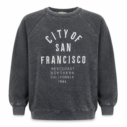 NEXT Mens Grey Cotton Pullover Sweatshirt Size L - City of San Franisco
