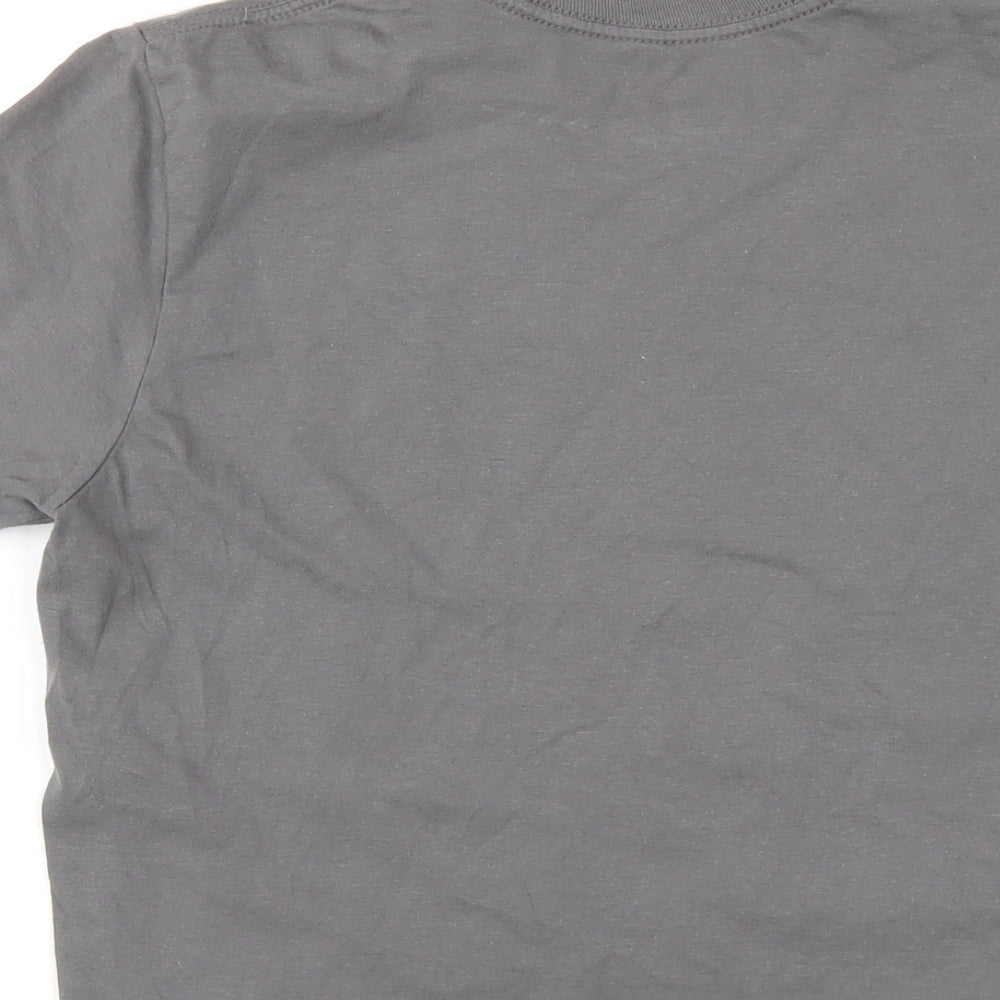 Asylum Mens Grey Cotton T-Shirt Size M Round Neck