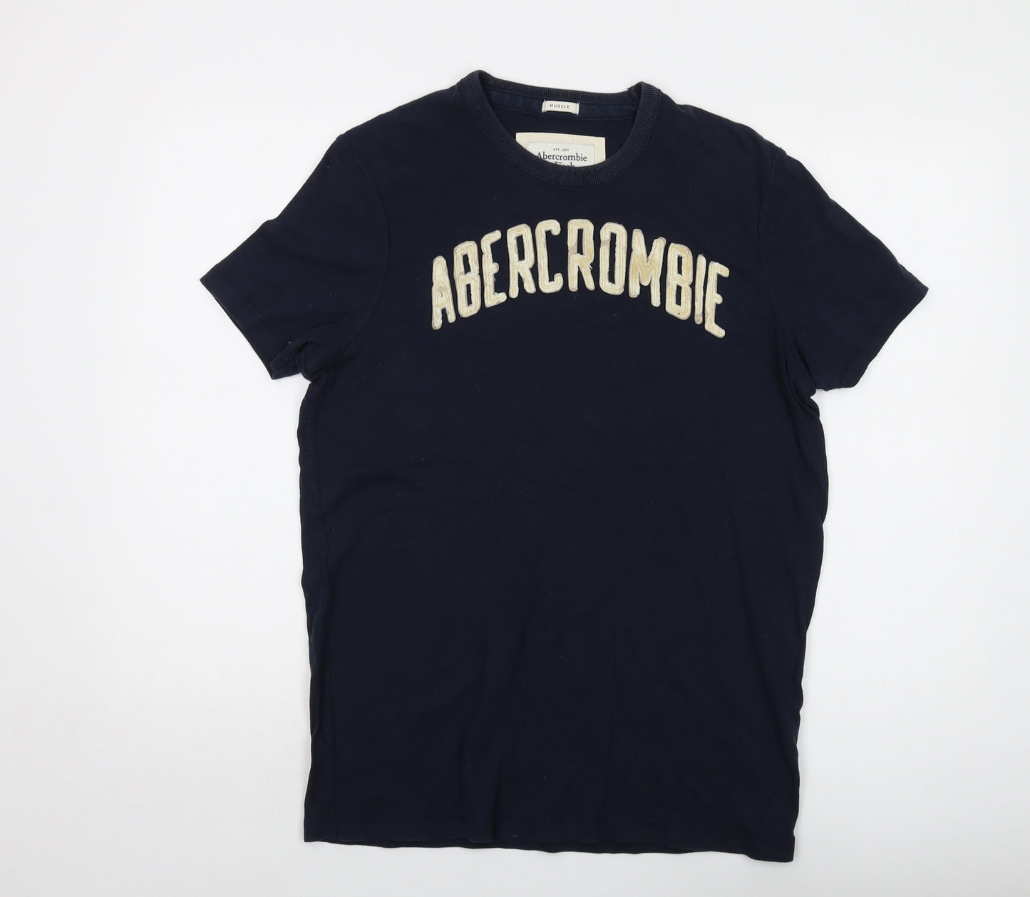 Abercrombie & Fitch Mens Blue Cotton T-Shirt Size L Crew Neck