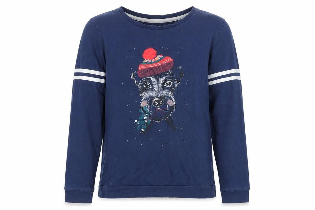 Front view of Marks & Spencer girls’ blue polyester pullover sweatshirt, size 14-15, years pullover - dog