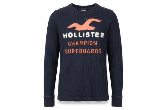 Front view of Hollister men’s blue cotton t-shirt, size S, round neck - embroidered logo