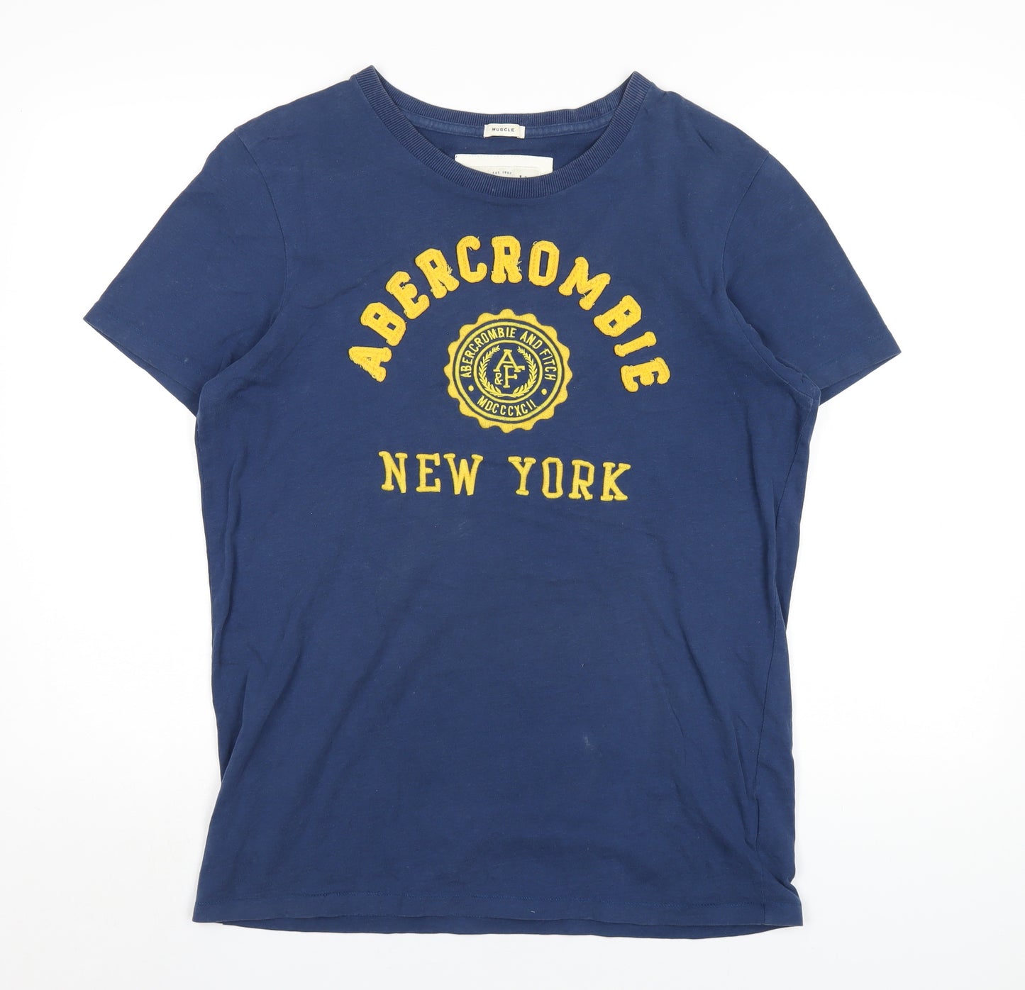 Abercrombie & Fitch Mens Blue Cotton T-Shirt Size L Round Neck - Embroidered Logo