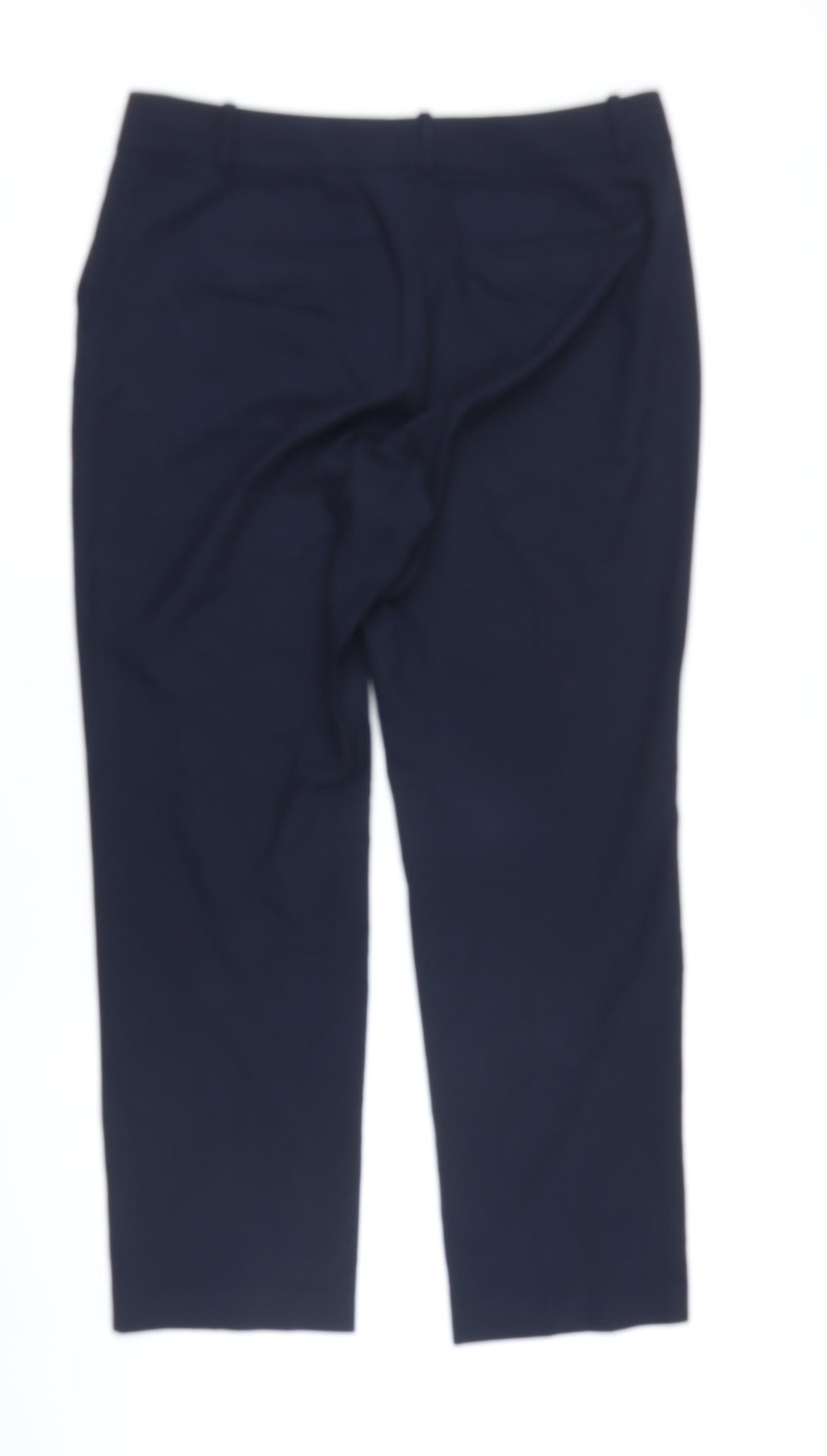 AnneTaylor Womens Blue Polyester Trousers Size 12 L29 in Regular Zip