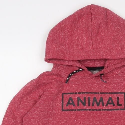 Animal Boys Red Cotton Pullover Hoodie Size 9-10 Years Pullover - Logo