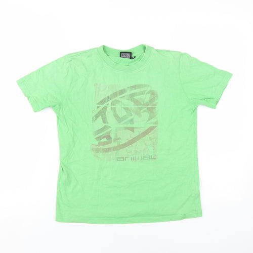 Animal Boys Green Cotton Basic T-Shirt Size 11-12 Years Round Neck Pullover