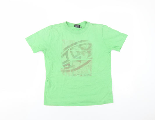 Animal Boys Green Cotton Basic T-Shirt Size 11-12 Years Round Neck Pullover