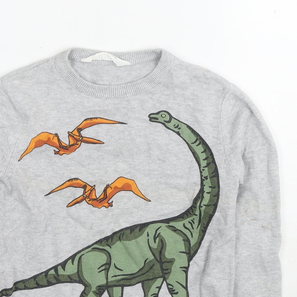 H&M Boys Grey Round Neck Cotton Pullover Jumper Size 5-6 Years Pullover - Dinosaurs