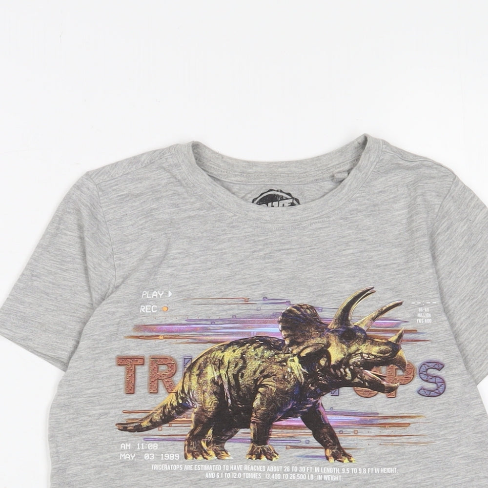 Blue Zoo Boys Grey Cotton Basic T-Shirt Size 9-10 Years Crew Neck Pullover - Dinosaur