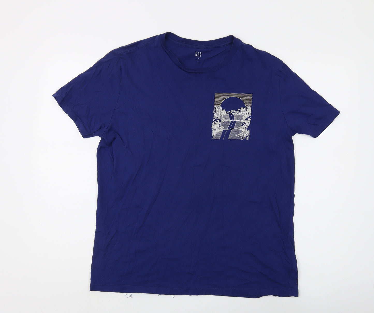 GAP Men's Blue Graphic T-Shirt, Medium, Crew Neck Design