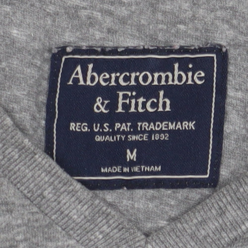 Abercrombie & Fitch Grey Men's M V-Neck T-Shirt