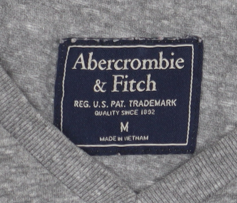 Abercrombie & Fitch Grey Men's M V-Neck T-Shirt