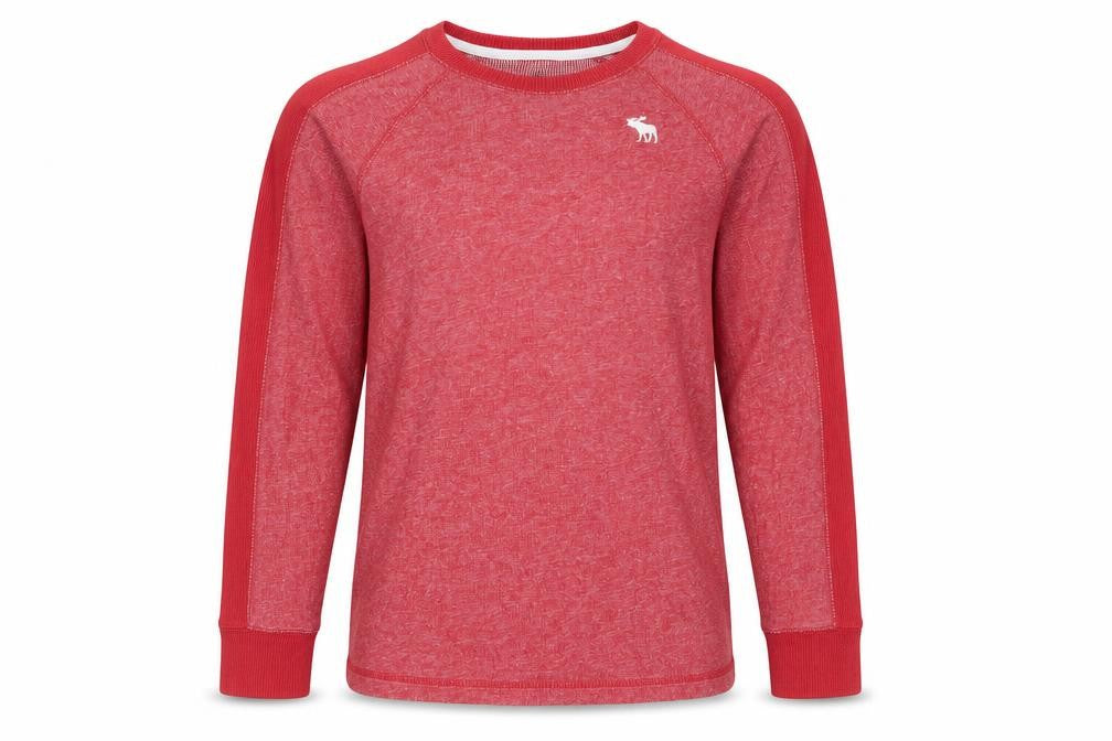 Abercrombie Kids Red Boys Casual Long Sleeve Pullover Top 13-14