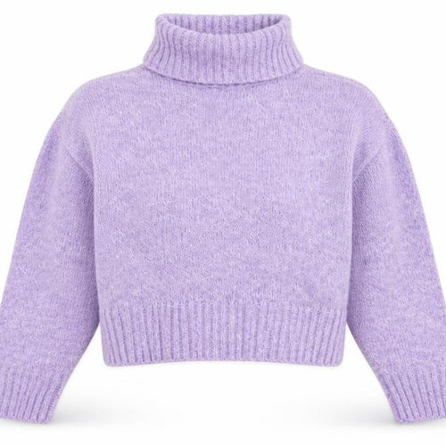 Brave Soul Women's Purple Roll Neck Jumper Size 14