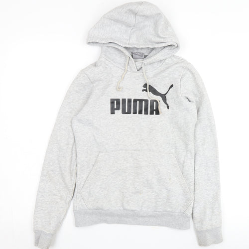 Puma Boys Grey Logo Hoodie 2XS Pullover