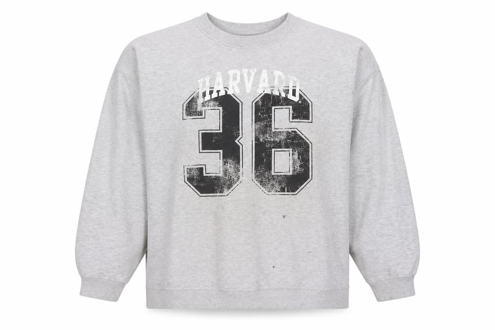 Front view of Harvard Grey unisex sweatshirt, size 22, casual pullover