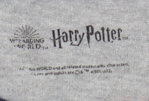 Nutmeg Boys Grey Harry Potter Long Sleeve T-Shirt 13-14 Years