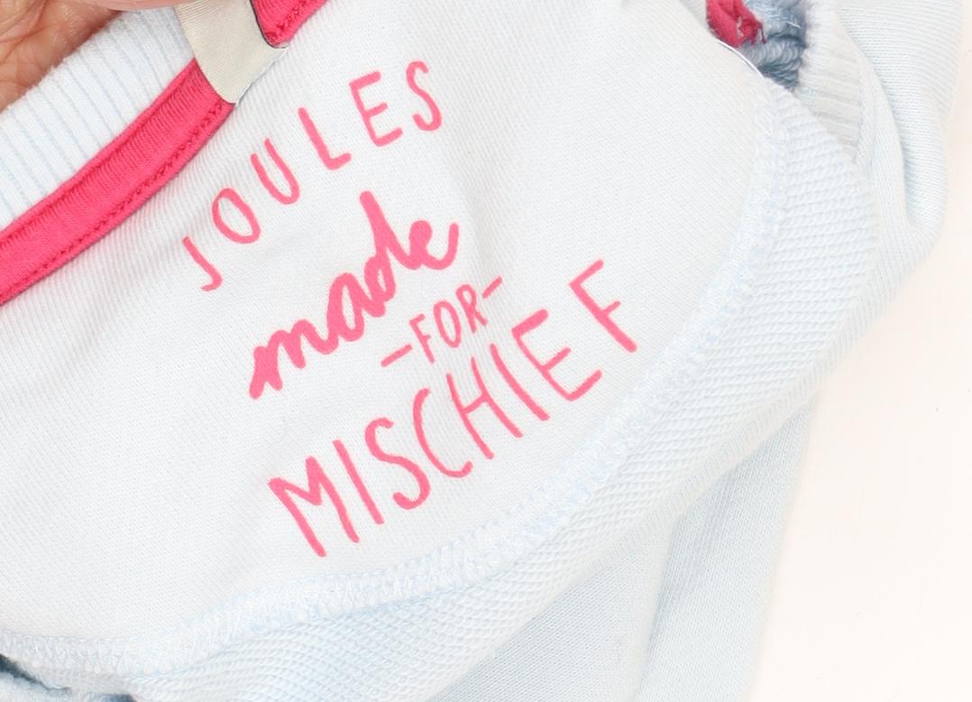 Joules Girls Blue Pullover Sweatshirt, Flamingo, Size 146