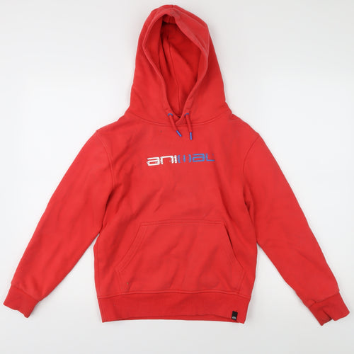 Animal Boys Red Pullover Hoodie - 9-10 Years, Casual