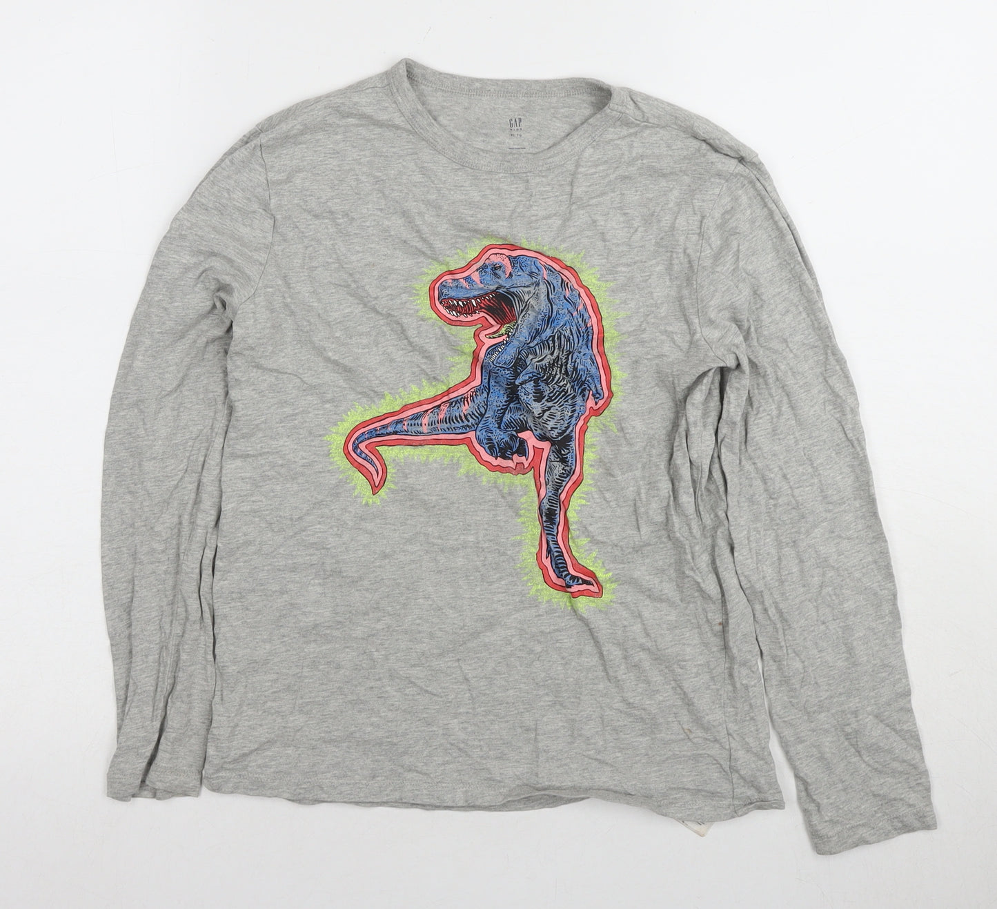 GAP Kids Boys Grey Dinosaur Long Sleeve T-Shirt XL