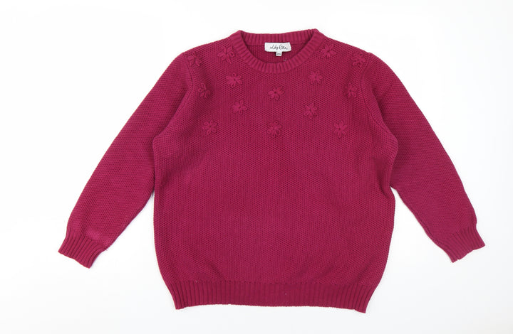 Lily Eva Women's Purple 2XL Pullover Jumper