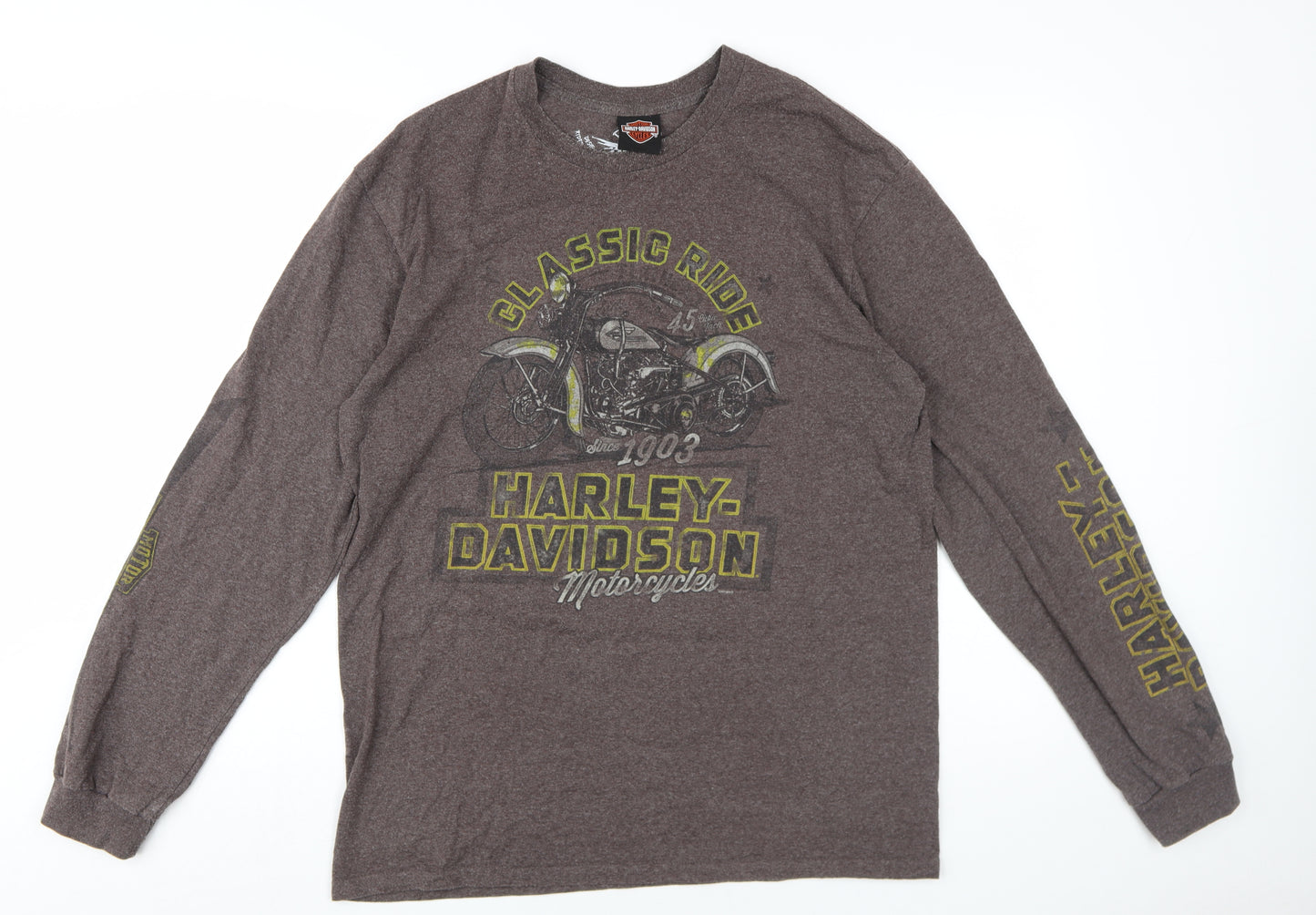 Harley-Davidson Men's Brown Graphic Long Sleeve Tee L