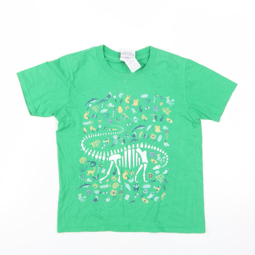 Natural History Museum Boys Green Dinosaur T-Shirt, Size 7-8, Short Sleeve