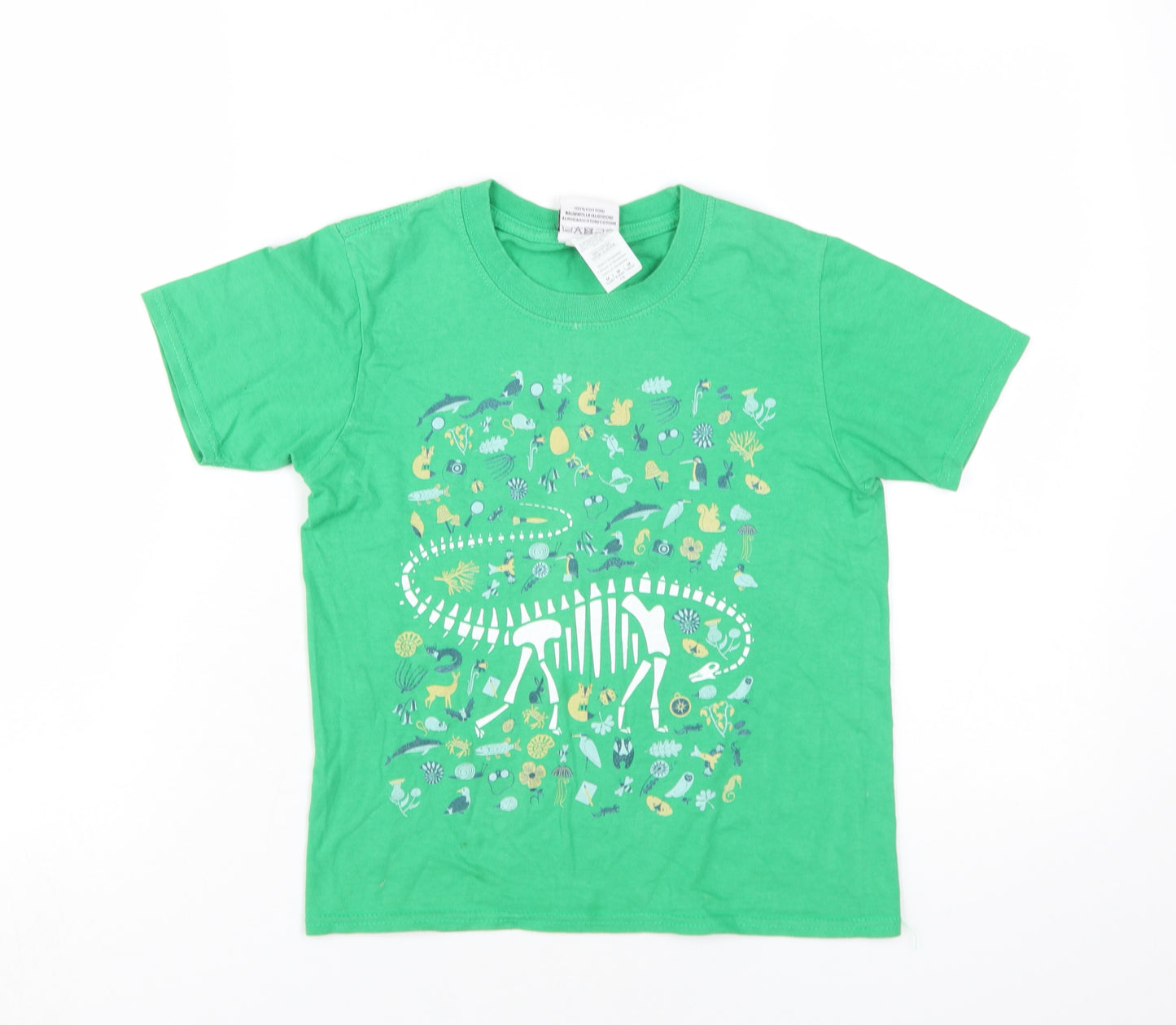 Natural History Museum Boys Green Dinosaur T-Shirt, Size 7-8, Short Sleeve