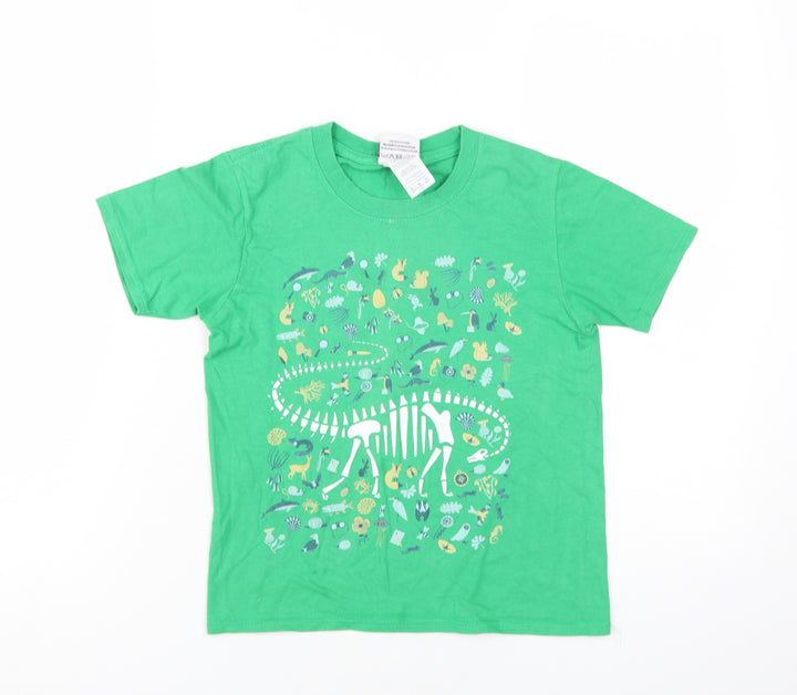 Natural History Museum Boys Green Dinosaur T-Shirt, Size 7-8, Short Sleeve