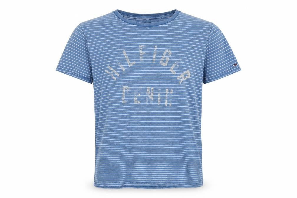 Hilfiger Denim Men's Blue Striped T-Shirt Size S