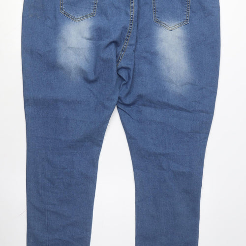 Rosegal Women's Blue Embroidered Skinny Jeans, 2XL