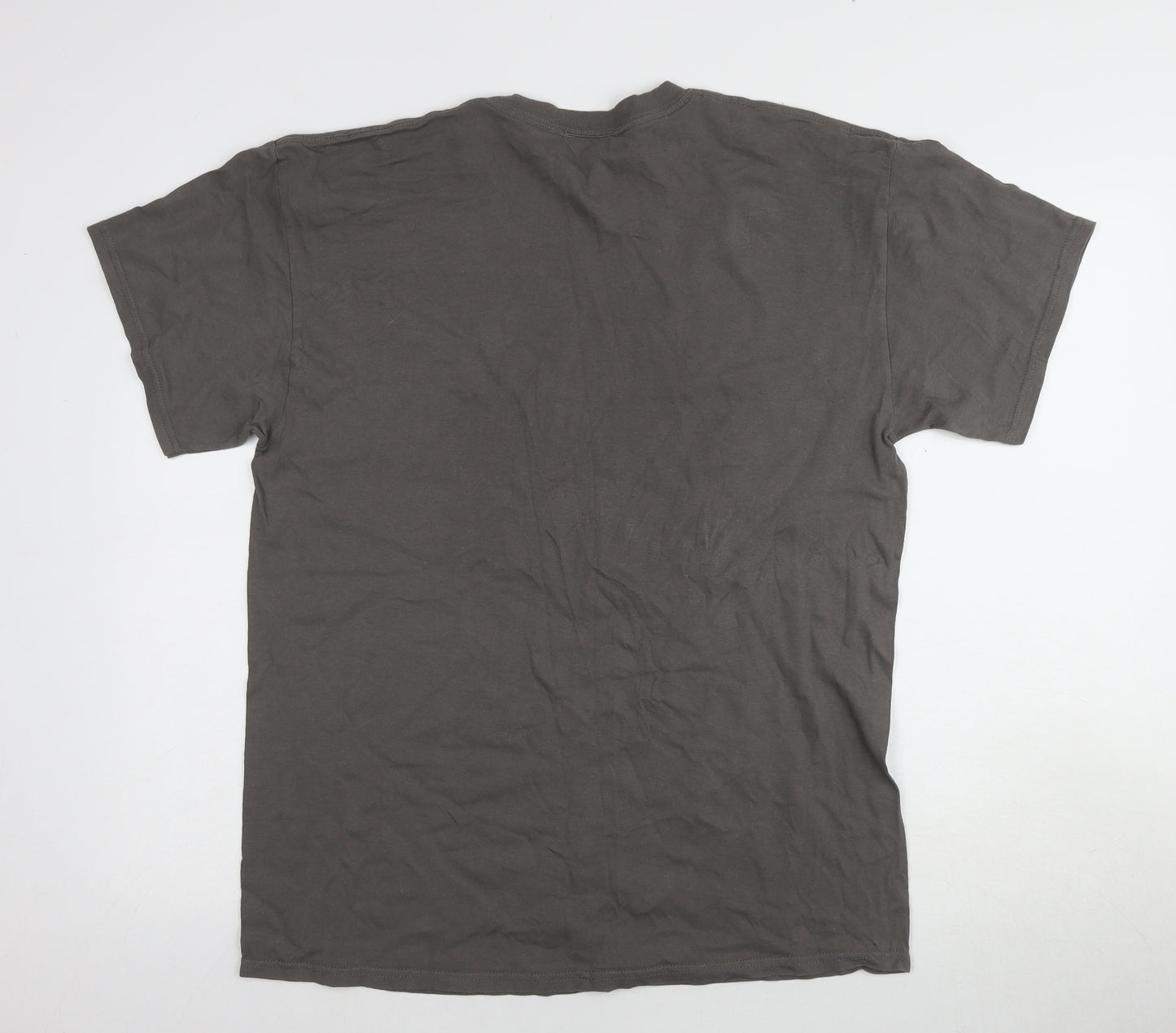 Old Guys Rule Men's Grey Regular Fit T-Shirt, L