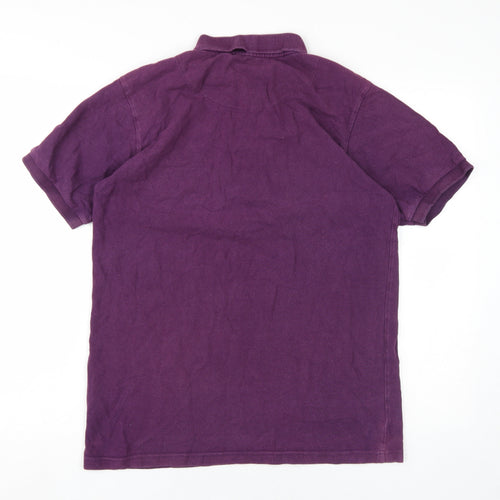 Incotex Jacamo Men's Purple Cotton Polo, M, Casual Wear