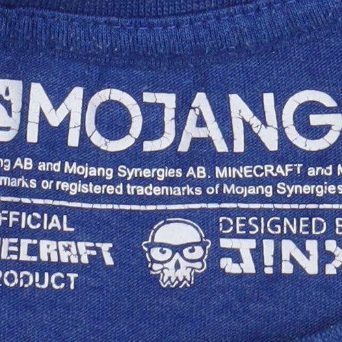 Mojang Boys Blue Minecraft Graphic Print T-Shirt 10-11 Years