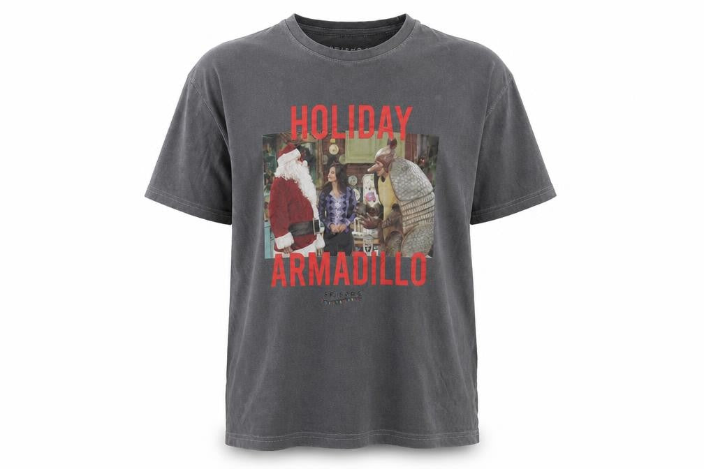 Friends Grey Holiday Armadillo T-Shirt M Unisex