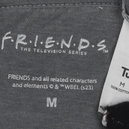 Friends Grey Holiday Armadillo T-Shirt M Unisex