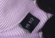 Paul Costelloe Men's Purple Dress Shirt 15.5 Regular Fit