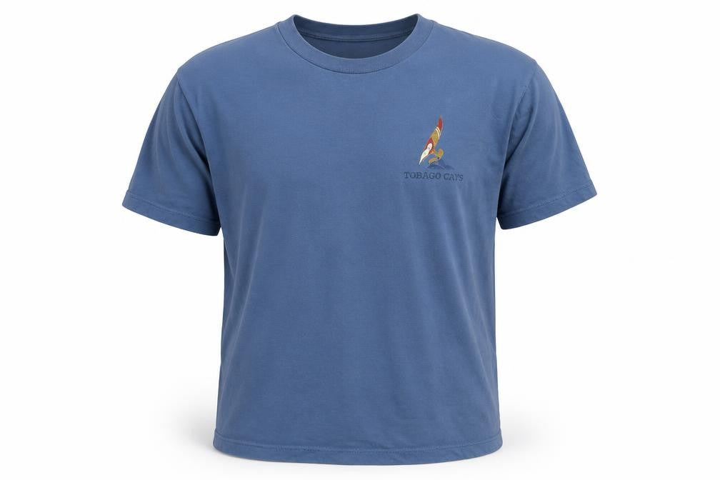 Cottennet Men's Blue Nautical Crew Neck T-Shirt, Size L