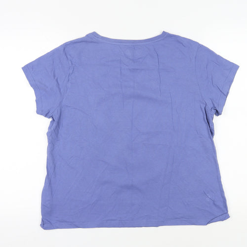 Warner Bros. Blue Cartoon T-Shirt, L, Unisex Adults
